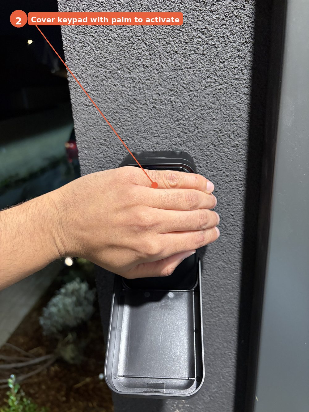 Step 2 — cover with palm